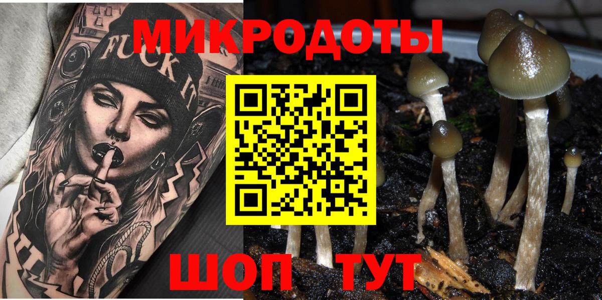 Псилоцибиновые грибы ЛСД Северск