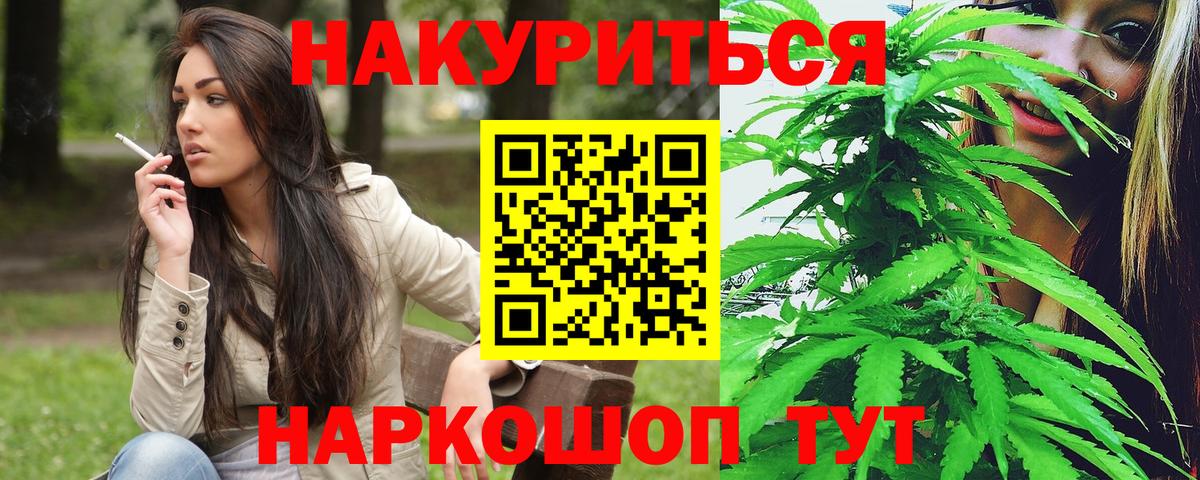 Марихуана сатива Северск